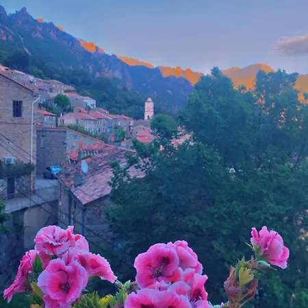 Maison De Charme Avec Terrasse Hauteurs D Ota Guaita